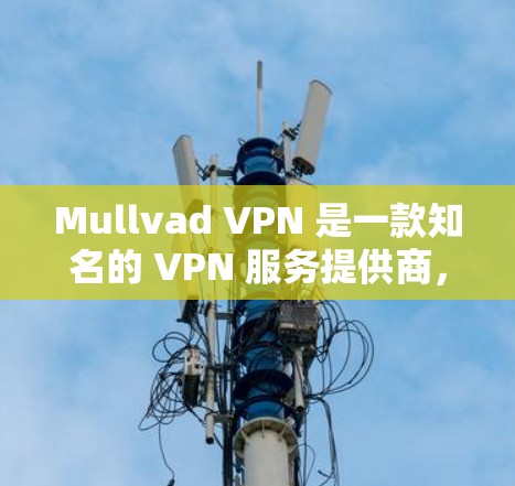 Mullvad VPN 是一款知名的 VPN 服务提供商,提供高性能和高安全性的网络连接。以下是关于 Mullvad VPN 的真实速度体验的一些关键点