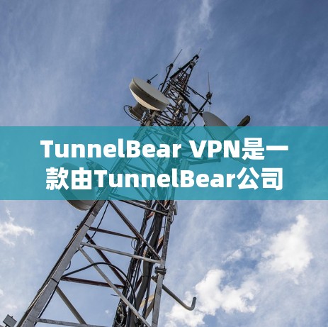 TunnelBear VPN是一款由TunnelBear公司开发的网络安全应用程序,提供VPN服务,保护用户隐私和网络安全。以下是获取TunnelBear VPN正版软件的建议步骤