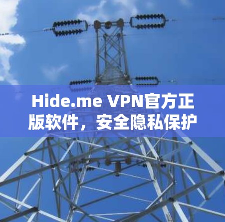 Hide.me VPN官方正版软件,安全隐私保护的专业选择