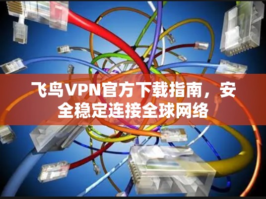 飞鸟VPN官方下载指南,安全稳定连接全球网络