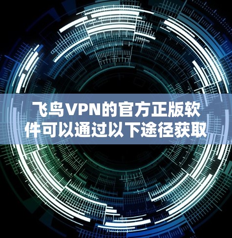 飞鸟VPN的官方正版软件可以通过以下途径获取,确保您下载的是安全、正版的软件