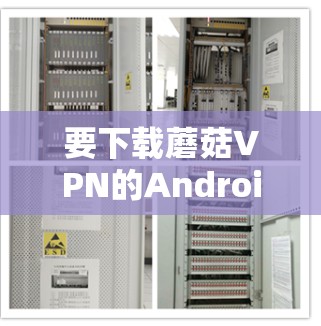 要下载蘑菇VPN的Android版，您可以按照以下步骤操作