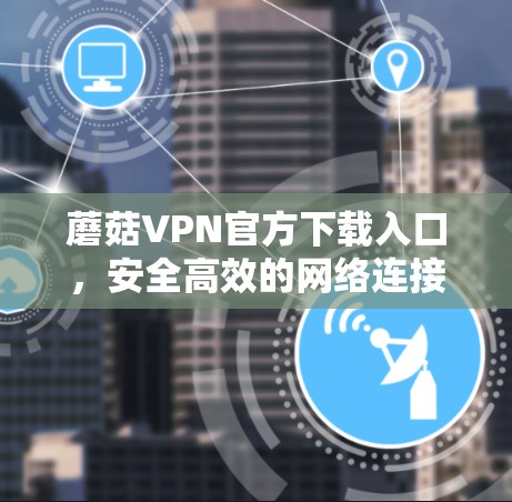 蘑菇VPN官方下载入口，安全高效的网络连接解决方案