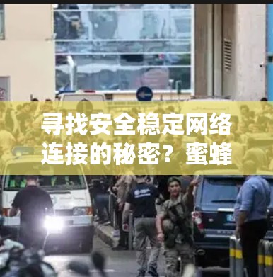 寻找安全稳定网络连接的秘密？蜜蜂VPN助你轻松解决！