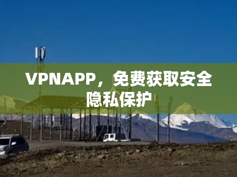 VPNAPP,免费获取安全隐私保护